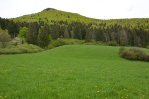 Pozemok Terchová - Vrátna