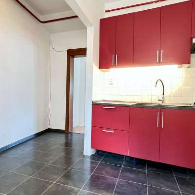 red-inz-img-225645-5